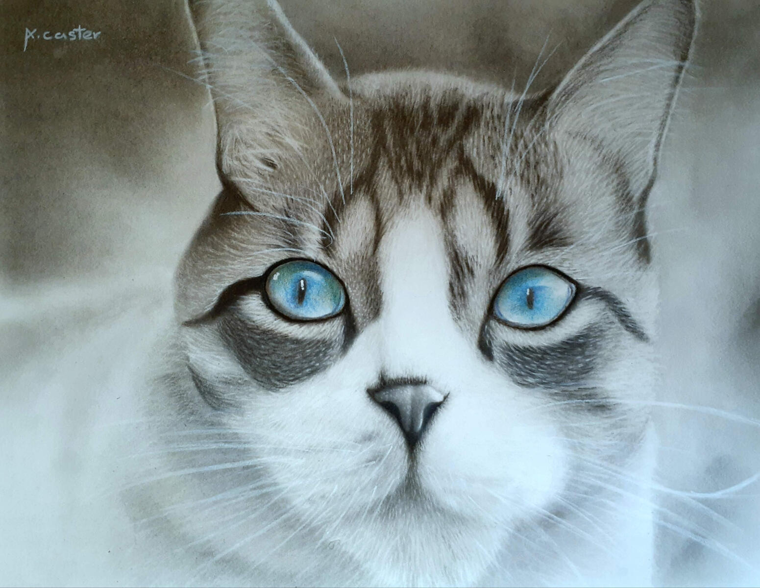 CAT (Charcoal &amp; Color Pencil on Paper)