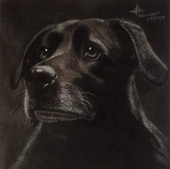 DOG (Charcoal on Paper)